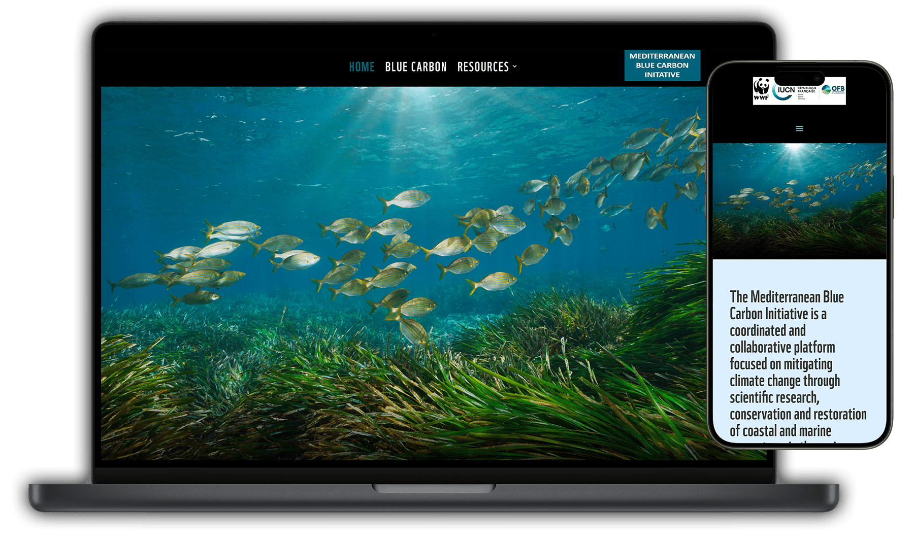 Mediterranean Blue Carbon initiative Website