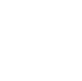 moveo-1